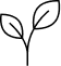 ENTWICKLUNG